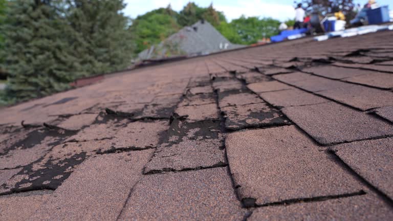 Best Commercial Roofing Services  in Lima, OH