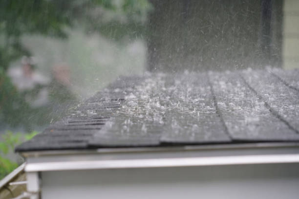 Best Gutter Replacement  in Lima, OH